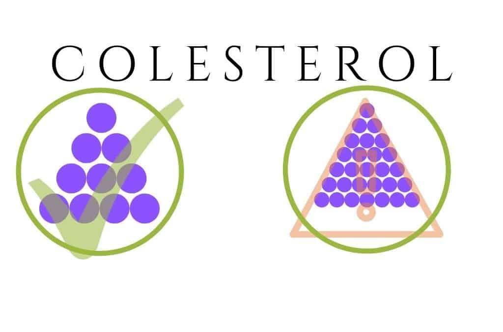 Una revisión sobre el colesterol y sus mitos